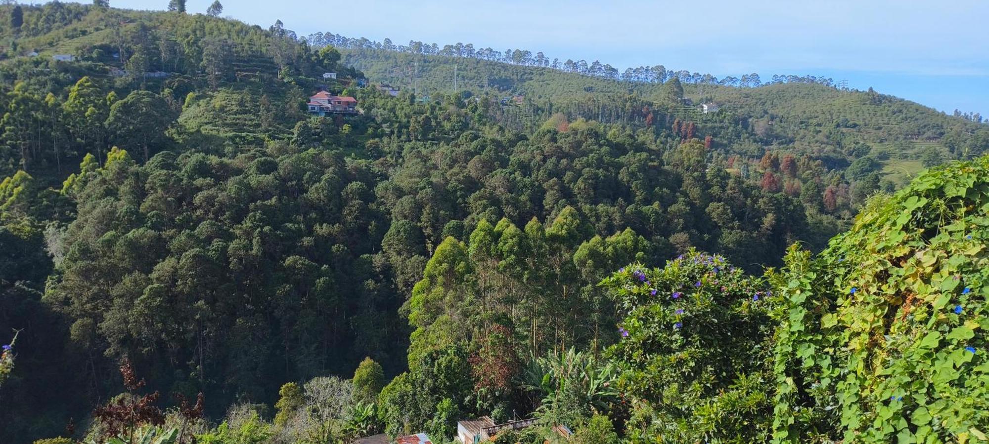Highland Heaven Ξενοδοχείο Kodaikanal Εξωτερικό φωτογραφία